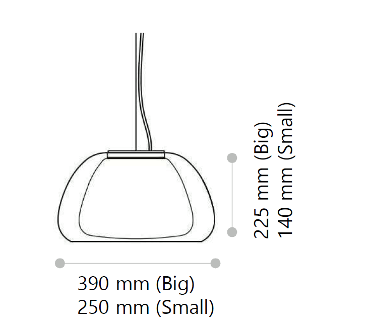 Molly size